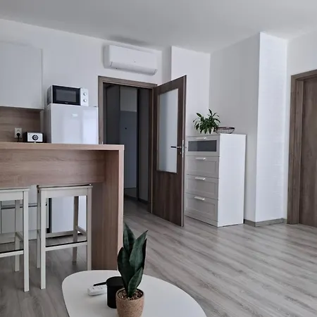 Apartment Stylovy V Samorine 2